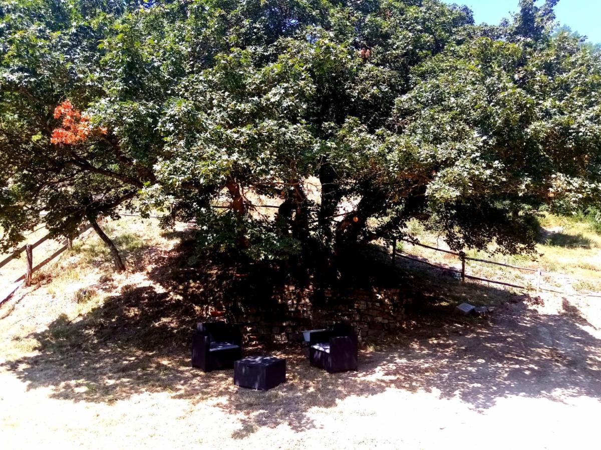Locanda Di Alberi Борго-Сан-Лоренцо Экстерьер фото