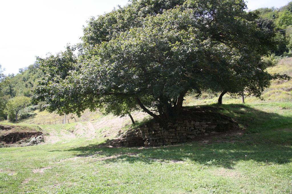 Locanda Di Alberi Борго-Сан-Лоренцо Экстерьер фото